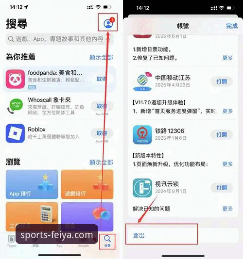 飞亚体育平台手机登录与安装完整指南