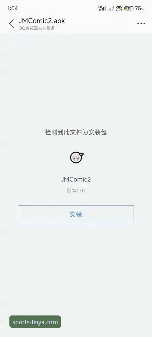 飞亚体育安装包如何成为用户获取流畅体验的关键入口？